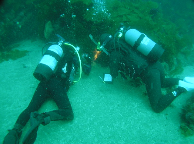 img0006.jpg