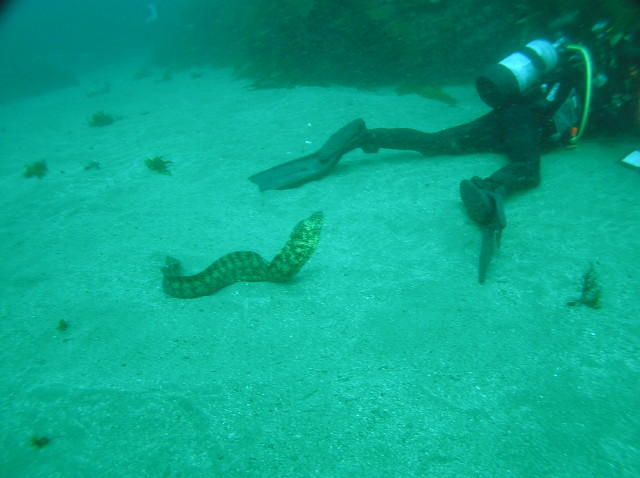 img0011.jpg