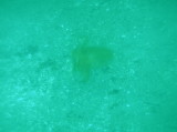 img0001.jpg