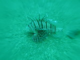 img0002.jpg