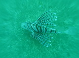 img0005.jpg