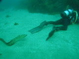 img0007.jpg