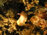 img0012.jpg