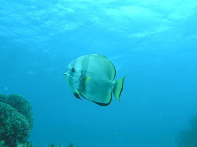 img0004.jpg