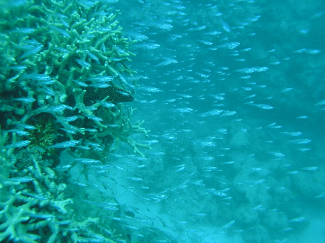 img0006.jpg