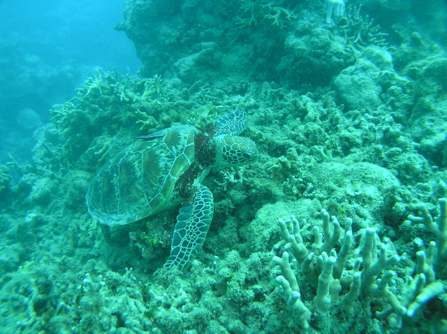 img0007.jpg