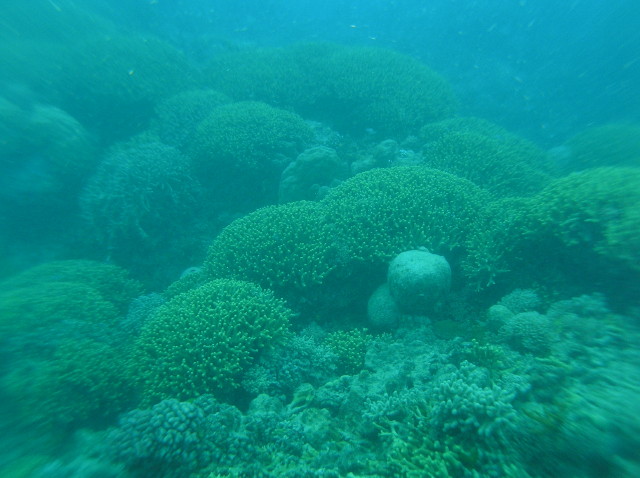 img0010.jpg