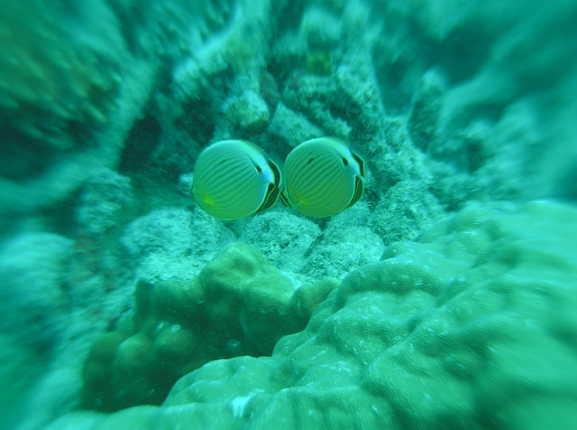 img0014.jpg