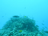 img0000.jpg