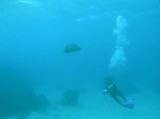 img0002.jpg