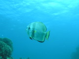img0004.jpg
