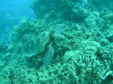 img0007.jpg