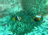 img0008.jpg