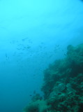 img0011.jpg