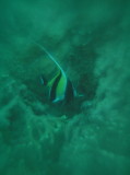img0012.jpg