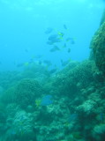 img0013.jpg
