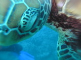 img0015.jpg