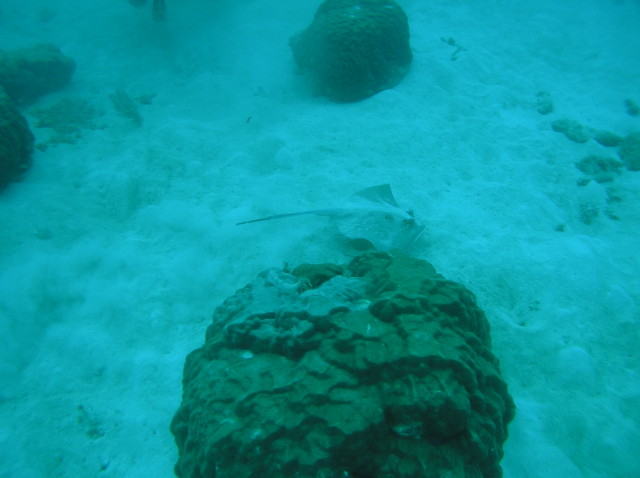 img0003.jpg