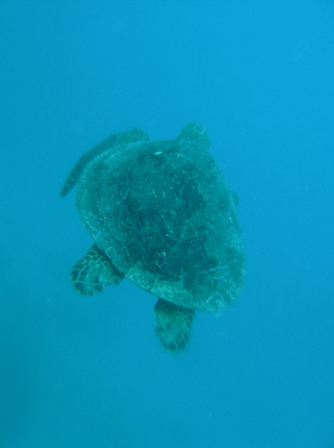 img0004.jpg