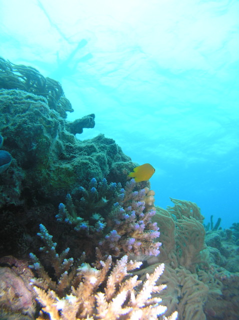 img0008.jpg