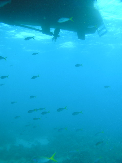 img0009.jpg