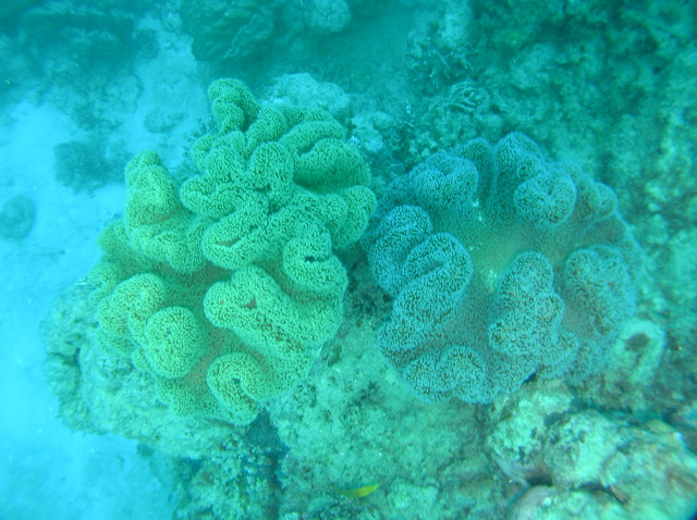 img0011.jpg