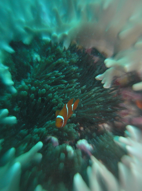 img0013.jpg