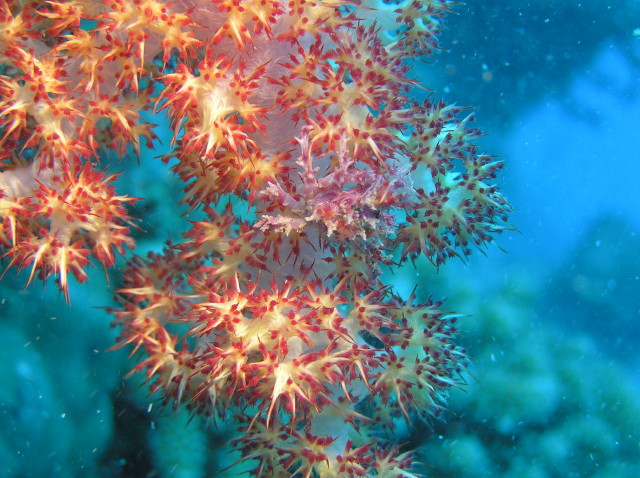 img0016.jpg