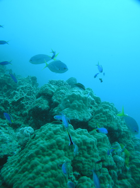 img0019.jpg