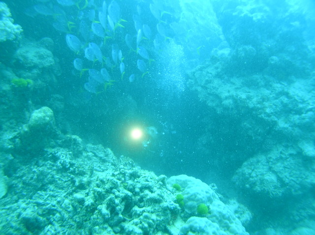 img0025.jpg