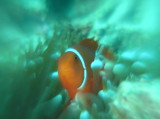 img0000.jpg