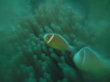 img0001.jpg