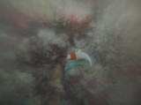 img0002.jpg