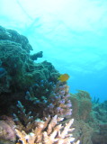 img0008.jpg