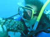 img0010.jpg