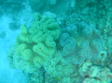 img0011.jpg