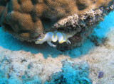 img0012.jpg
