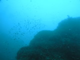 img0015.jpg