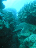 img0017.jpg
