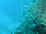 img0018.jpg