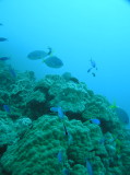 img0019.jpg