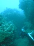 img0020.jpg
