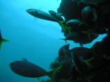 img0024.jpg
