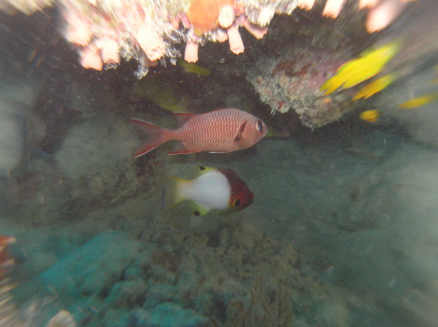 img0002.jpg