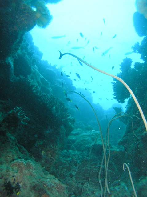img0003.jpg
