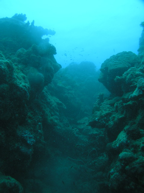 img0005.jpg