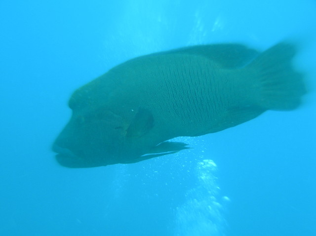 img0007.jpg