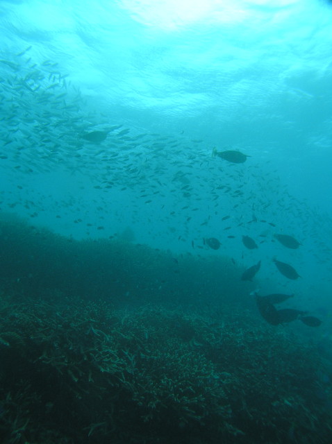 img0011.jpg