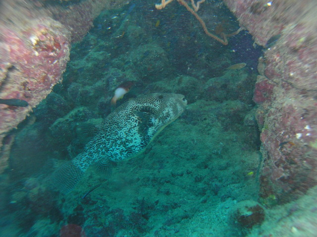 img0016.jpg
