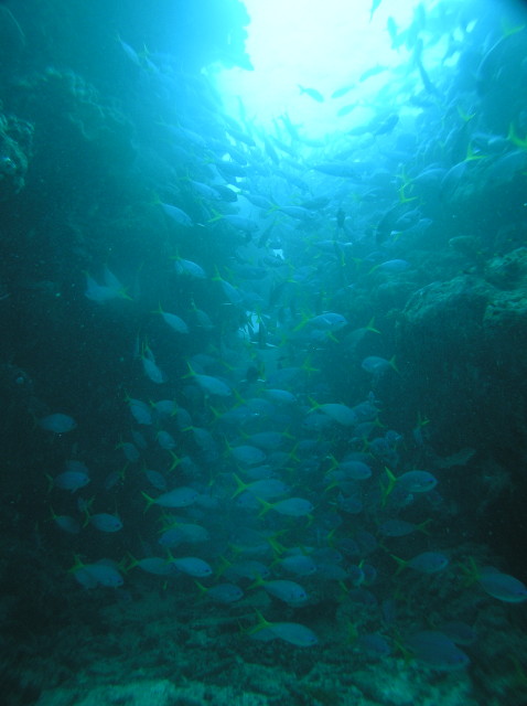 img0018.jpg